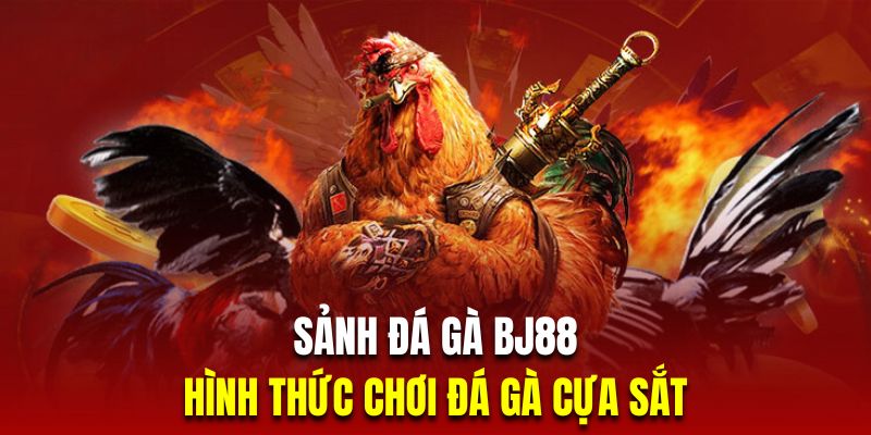 Hình thức chọi kê cựa sắt đặc biệt quen thuộc với người chơi Việt Nam