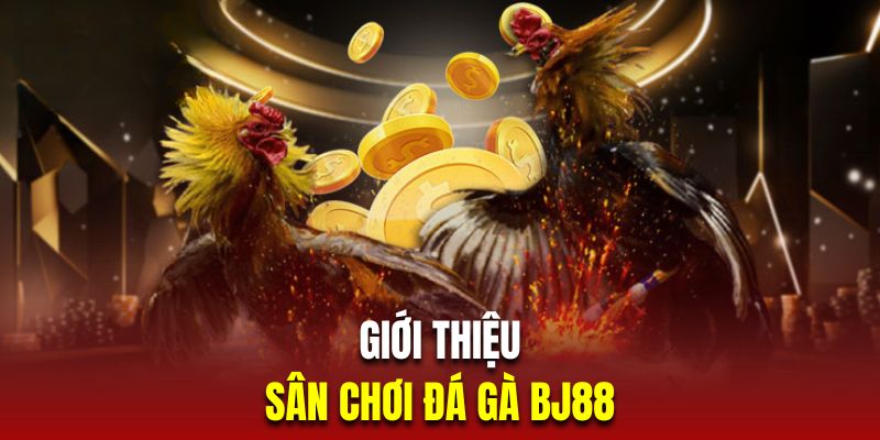 Giới thiệu sân chơi chọi kê trực tuyến nhà cái BJ88