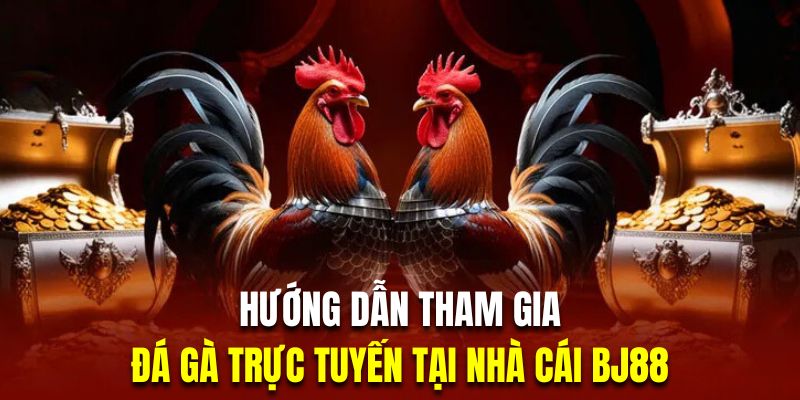 Hướng dẫn cá cược đá gà tại casino BJ88