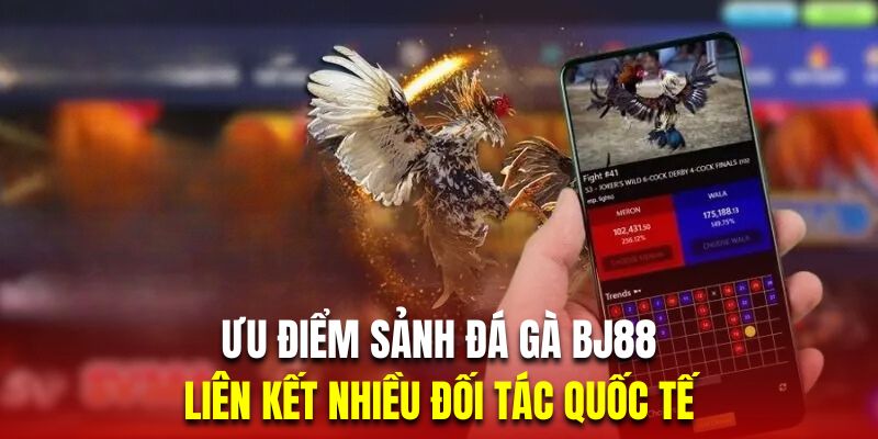 Đá gà BJ88 hiện liên kết với rất nhiều đối tác uy tín